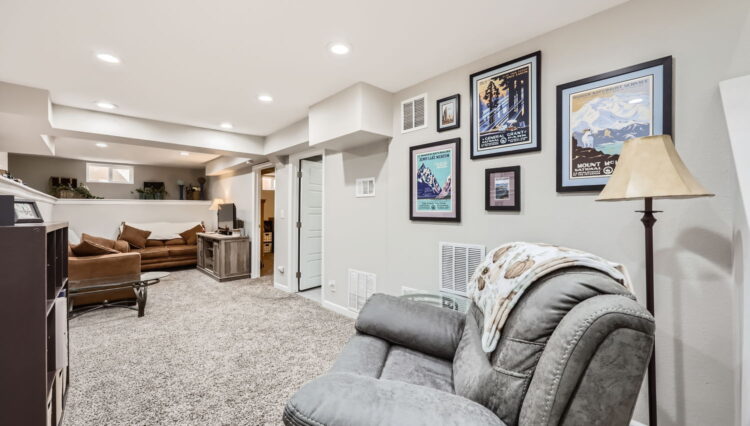 15 Basement Living Room