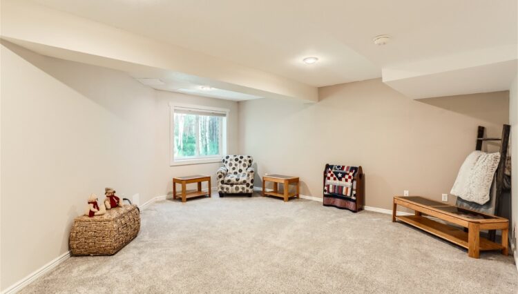 17 Lower Level Family Room