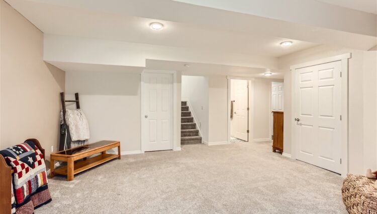18 Lower Level Family Room