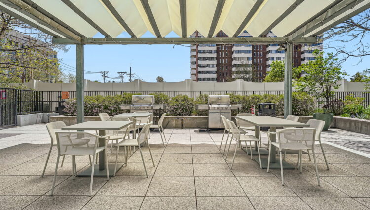 21 - Patio and Grill Area