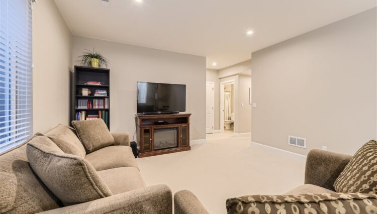 23 Lower Level Living Room