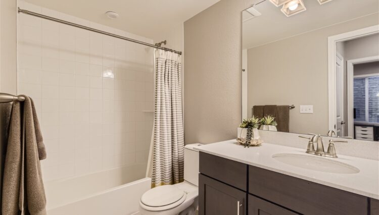 25 Lower Level Bathroom