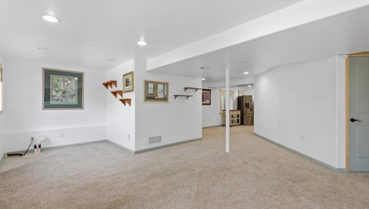 Walkout Basement