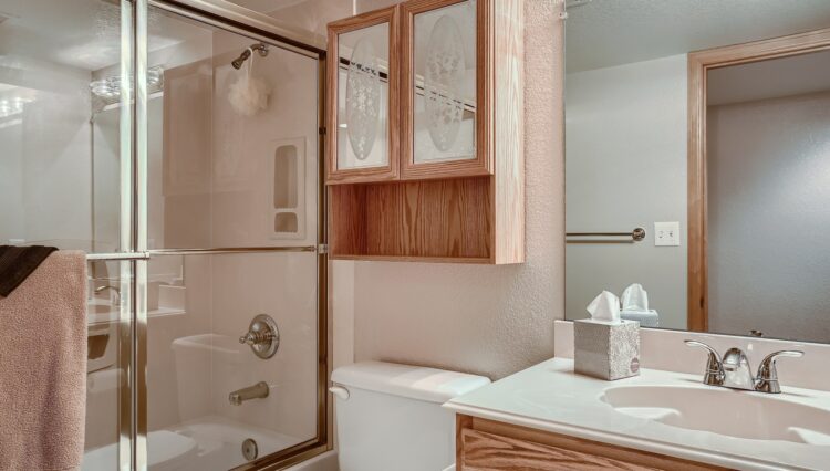 30 Lower Level Bathroom