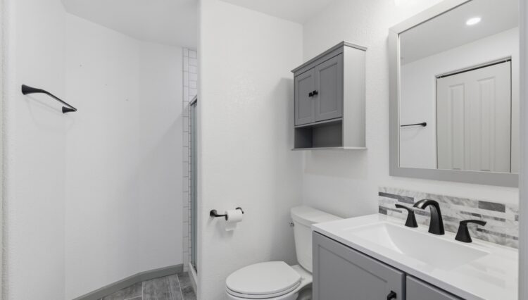 New Bathroom in Walkout Basement