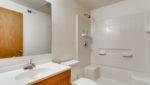 316 E Michigan Ave Berthoud CO-large-020-019-Lower Level Bathroom-1500x998-72dpi