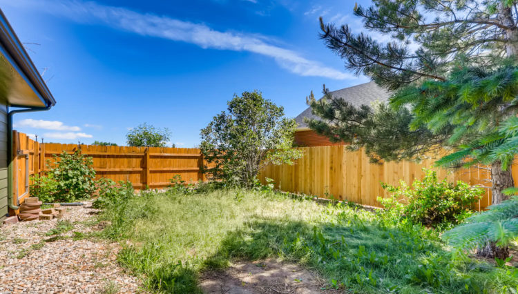 316 E Michigan Ave Berthoud CO-large-024-026-Back Yard-1500x998-72dpi