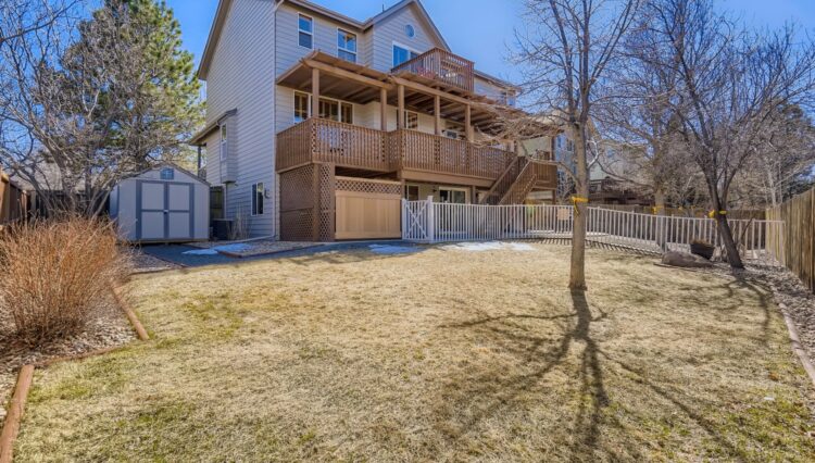 33 Backyard
