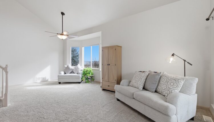 Living and Dining Room or Flex Spaces