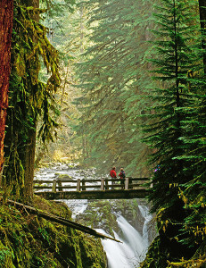 Sol Duc Falls, Olympic National Park, Washington