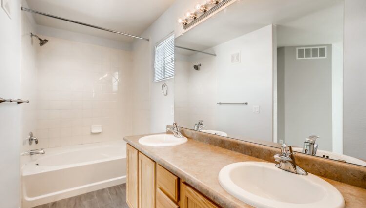 Use 10 Master Bathroom