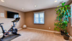 Use - 12 Workout, Study or Bedroom