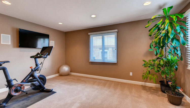 Use - 12 Workout, Study or Bedroom