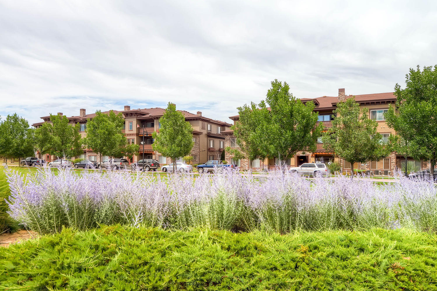 Use - 14 - Neighborhood