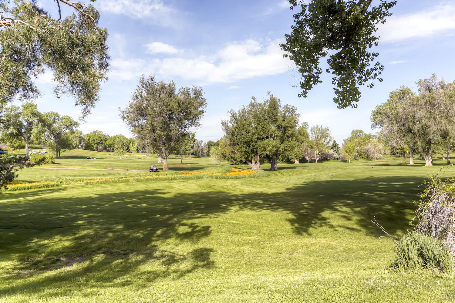 Use - 14 - View of golf course
