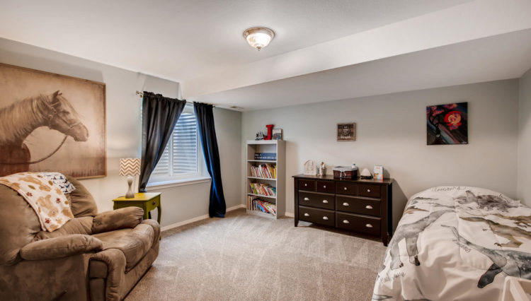 Use 15 Basement Bedroom