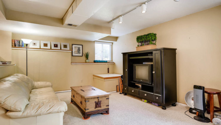 Use 15 Basement Living Room