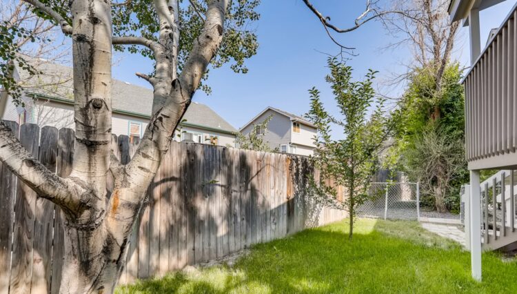 Use 17 Backyard