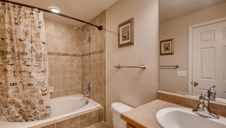 Use 17 Basement Bath