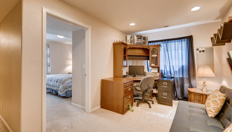 Use 18 Basement Living Room