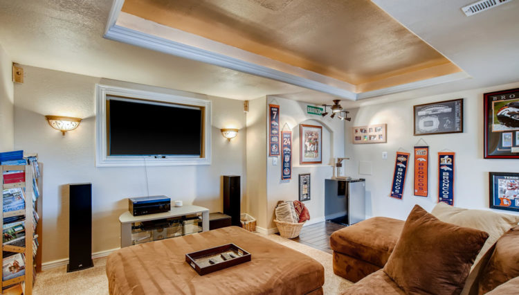 Use 18 Lower Level Family Room