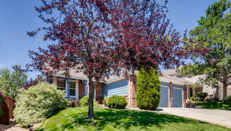 Use 2 Exterior Front from Late Summer