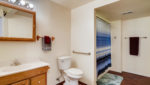 Use 21 Basement Bathroom