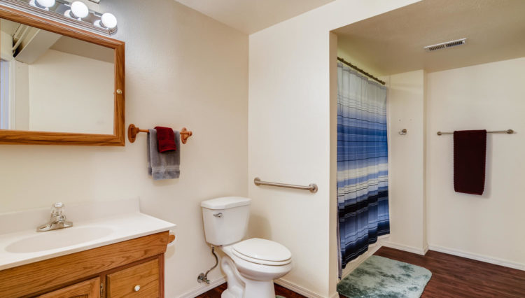 Use 21 Basement Bathroom