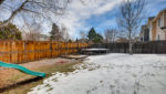 Use 22 Backyard