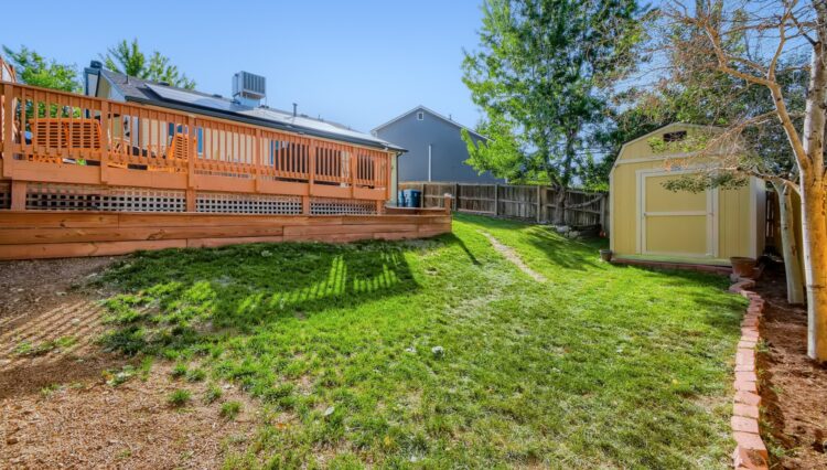 Use 23 Backyard with Shed