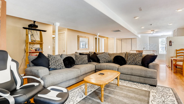 Use 23 Basement Living Area