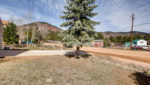 Use 25 Front Yard