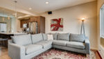 Use 5 Living Room