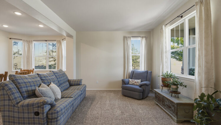 Use 5 Living Room or Flex Space