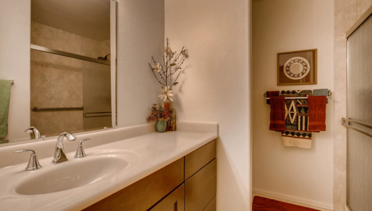 Use 9 Master Bathroom